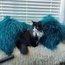 Bonnie Bachynsky - Facebook