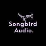 Bonnie Black | Sound Engineer - @songbird.audio - Instagram
