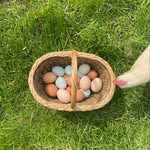 Bonnie Brook Farm - @bonniebrook_farm - Instagram