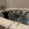 bonnie.brook.farm - @bonnie.brook.farm - TikTok