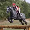 bonniebrookswatki - @bonniebrookswatki - TikTok