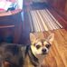 Bonnie Buck - Facebook