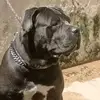 Buck e Bonnie - @buckbonnie - TikTok
