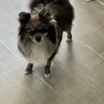 Bonnie Burris - @bburris1 - Instagram