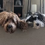 Bonnie and Charlie Cantrell - @bonnieandcharlieboo - Instagram