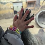 Bonnie Cantrell - @bonnie.science - Instagram