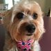 Bonnie Casey - Facebook