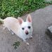 Bonnie Chambers - Facebook