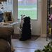 Bonnie Comer - Facebook