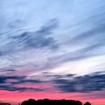 Bonnie Daniel - @bonnie.daniel.315865 - Instagram