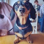 B O N N I E - @bonnie.dash.boyle - Instagram