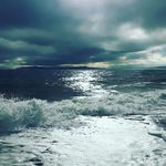 Bonnie - @bonniedewitt321 - Instagram