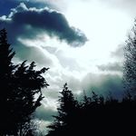 bonnie dewitt - @bonnie_dewitt - Instagram