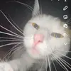 Bonnie Downs - @bonnie.downs13 - TikTok