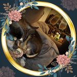 Bonnie Dunn - @bonnie.dunn.9279807 - Instagram