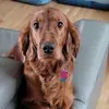bonnieduval7 - @bonnieduval7 - TikTok