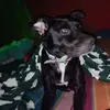 bonnieelyons - @bonnieelyons - TikTok