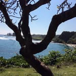 Bonnie Reed Frame - @bframe52 - Instagram