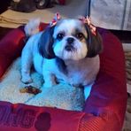 Bonnie Gorham - Facebook
