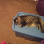 Bonnie Hauge - Facebook