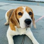 Bonnie Haughey - @bonnie.haughey - Instagram