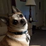 Bonnie Miller Haugh - @bonniehaugh - Instagram
