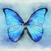 Bonnie Herring - Facebook