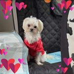 Bonnie Hill - Facebook
