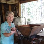 Bonnie Howard - @bonniehoward368 - Instagram