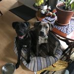Bonnie&Howard - @bonnieandhoward - Instagram