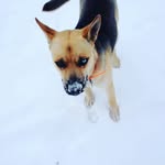 bonnie howell - @bonniefhowell - Instagram
