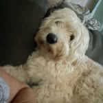 Bonnie Howell - @bonniehowell385 - Instagram