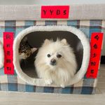 Bonnie Jiang - @bonnie078 - Instagram