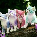 Bonnie Kaye Brookhart - @bonniebubue - Instagram