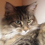 Bonnie Kaye Widder - @bonnie.widder - Instagram