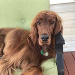 Bonnie Beeman - @bonnie.long_girl - Instagram