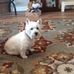 Bonnie Marks - Facebook