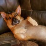 Bonnie Gallimore-Matter - Facebook