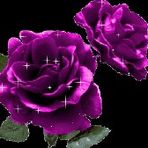 Bonnie Matter - Facebook