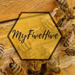 Bonnie McClain - @myfivehive - Instagram