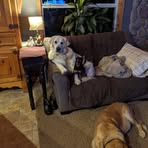Bonnie McClain - Facebook