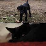 Bonnie & Rodney Ellis-Moss - @adventuresofbonnieandrodney - Instagram