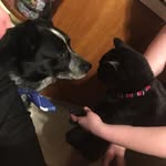 Bonnie Firomski Munson - @munson2111 - Instagram
