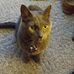 Bonnie Munson - Facebook