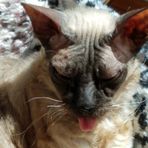 Bonnie Nordquist - Facebook