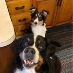 Bonnie Olson Jans - @bonniejans - Instagram
