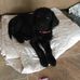 Bonnie Orr - Facebook