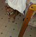 Bonnie Otto - Facebook