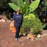 Bonnie Otto - @bonnieenglishotto - Instagram
