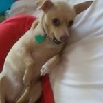Bonnie Page - @bonniepage236 - Instagram
